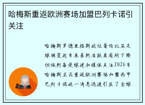 哈梅斯重返欧洲赛场加盟巴列卡诺引关注