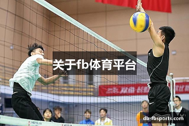 用户常见的问题解答?